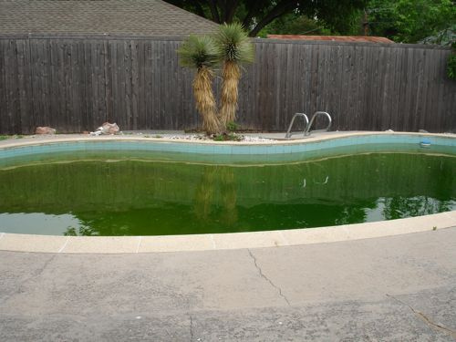 Pool Fill In Experts in Morgan Hill, CA