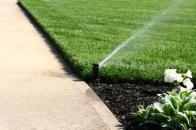 Pop Up Sprinkler