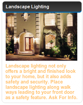 Landscape Lighting